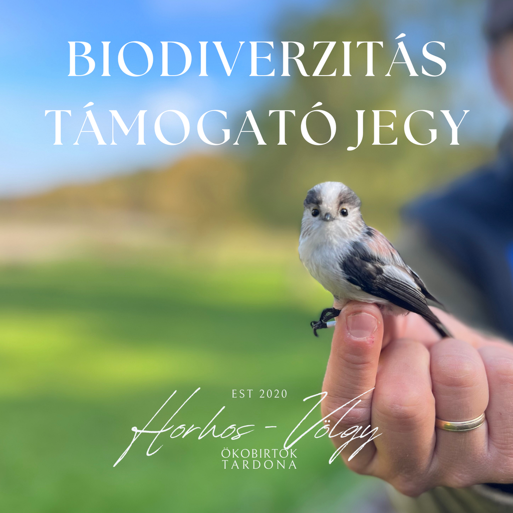 Támogatói jegy