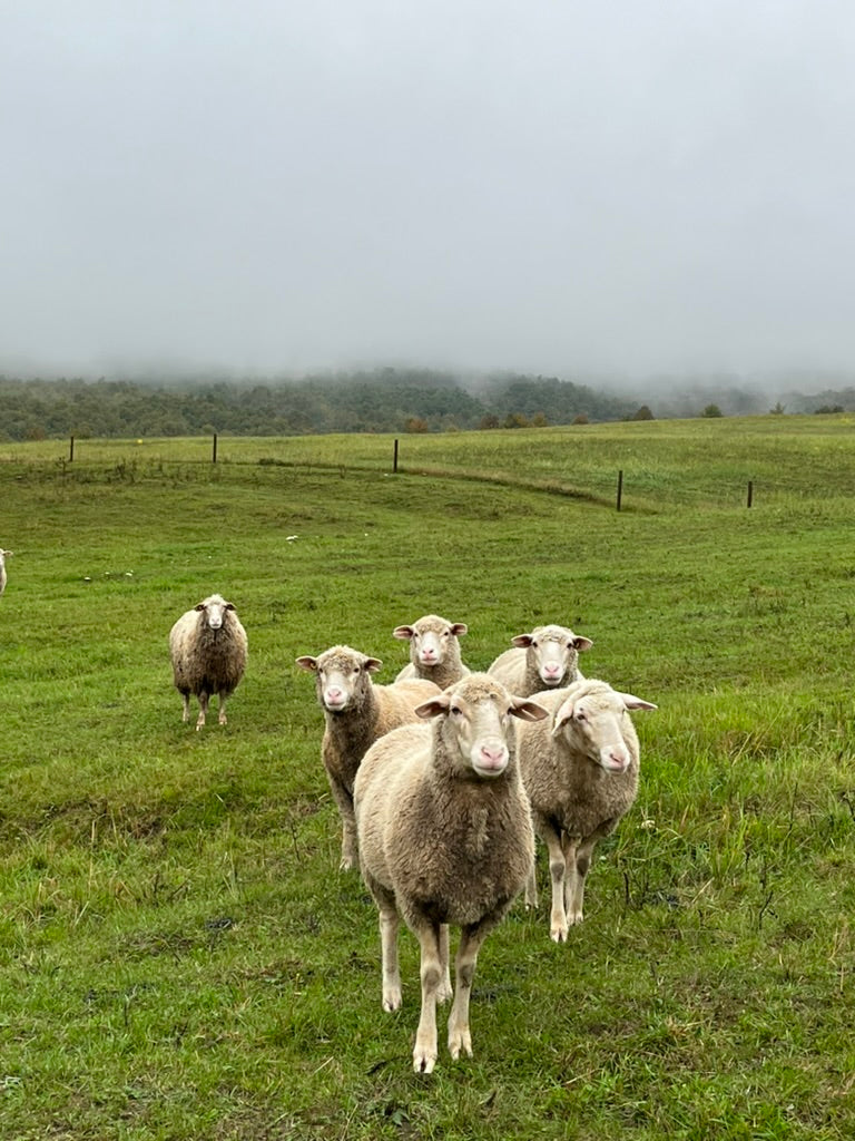 Birtoklátogatás – 2 órás, egyéni, vezetett program