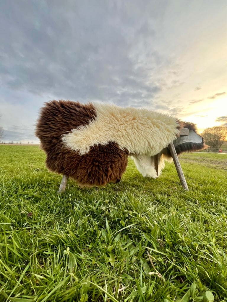 Merinó báránybőr