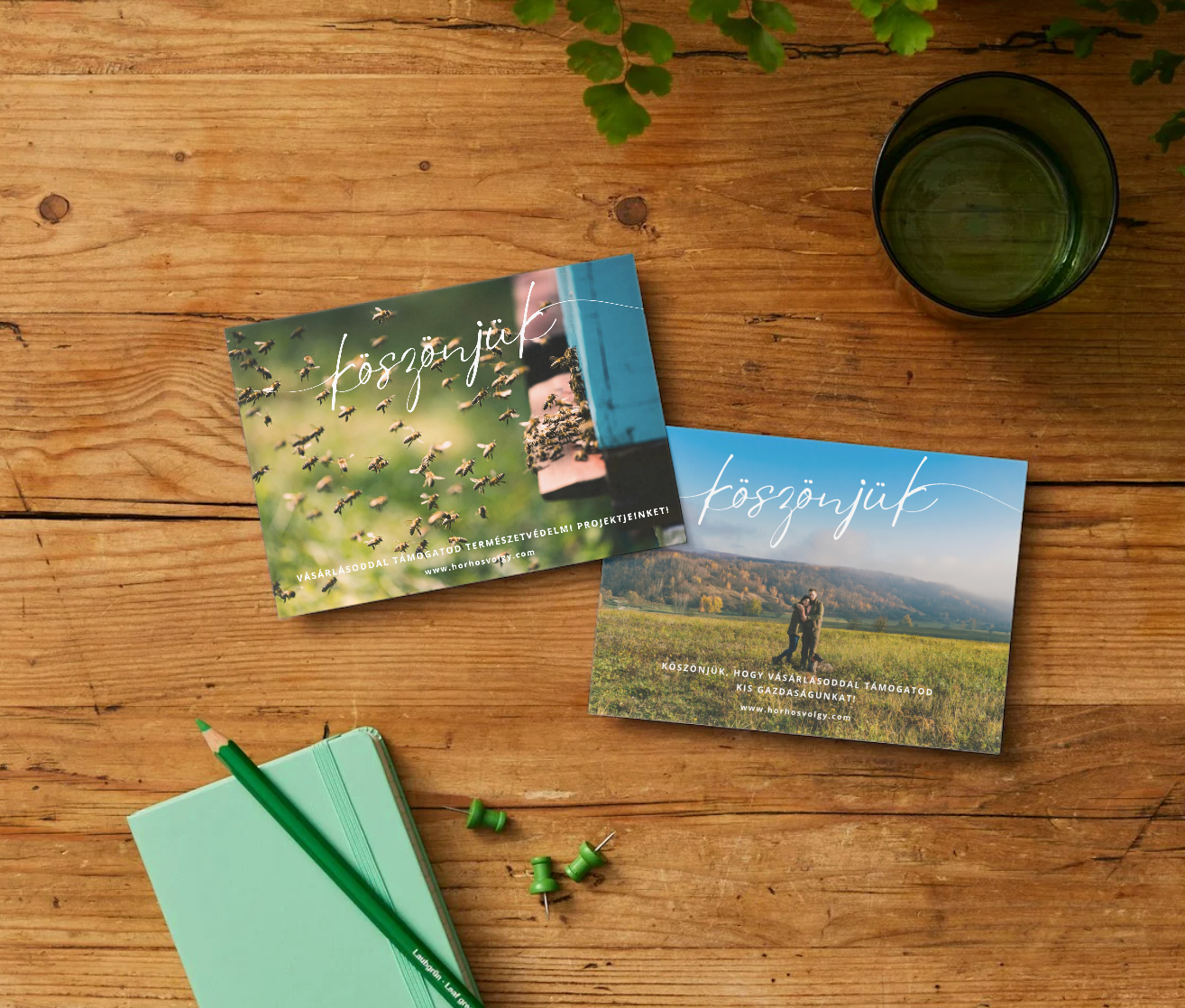 Pollinátor támogatói csomag