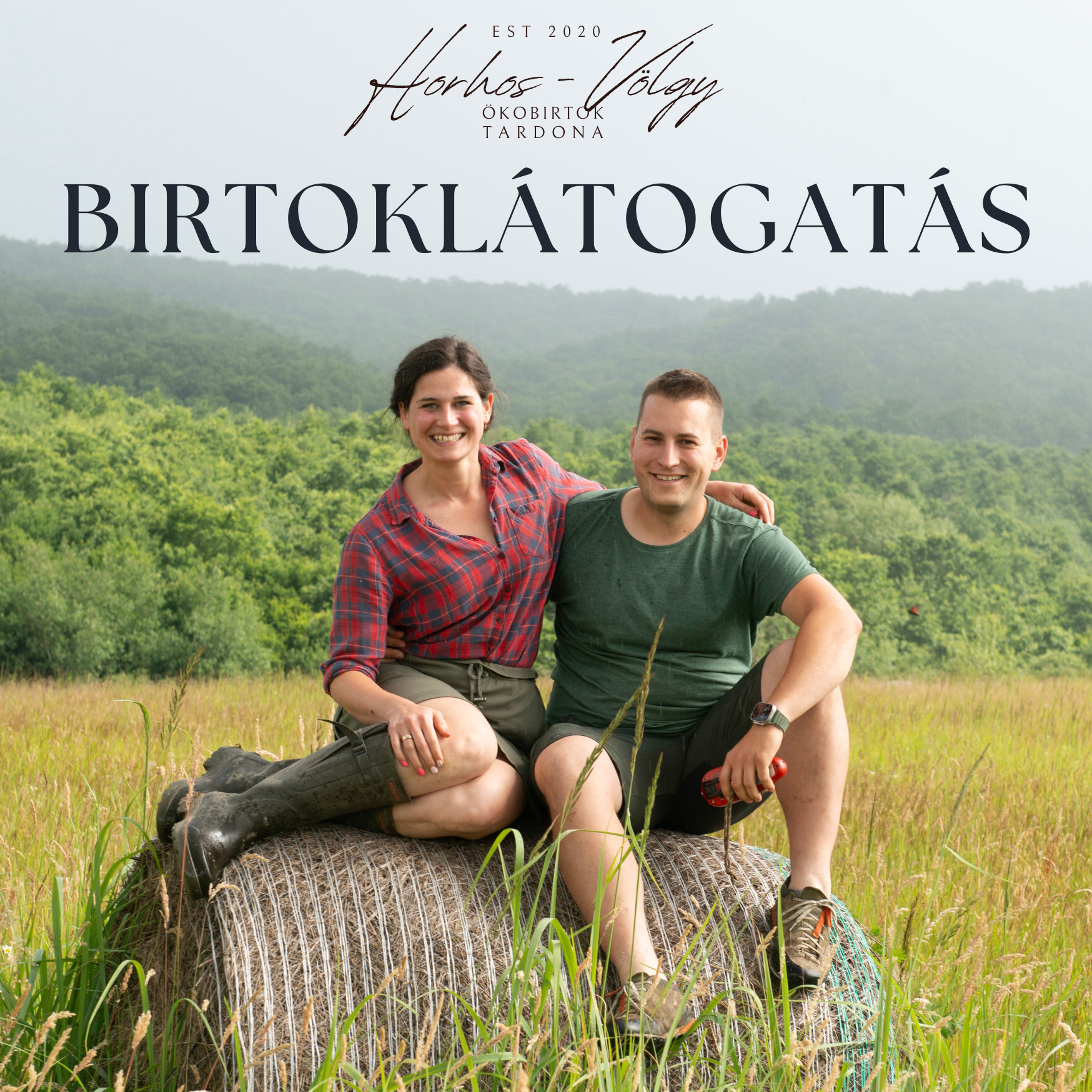 Birtoklátogatás – 2 órás, egyéni, vezetett program