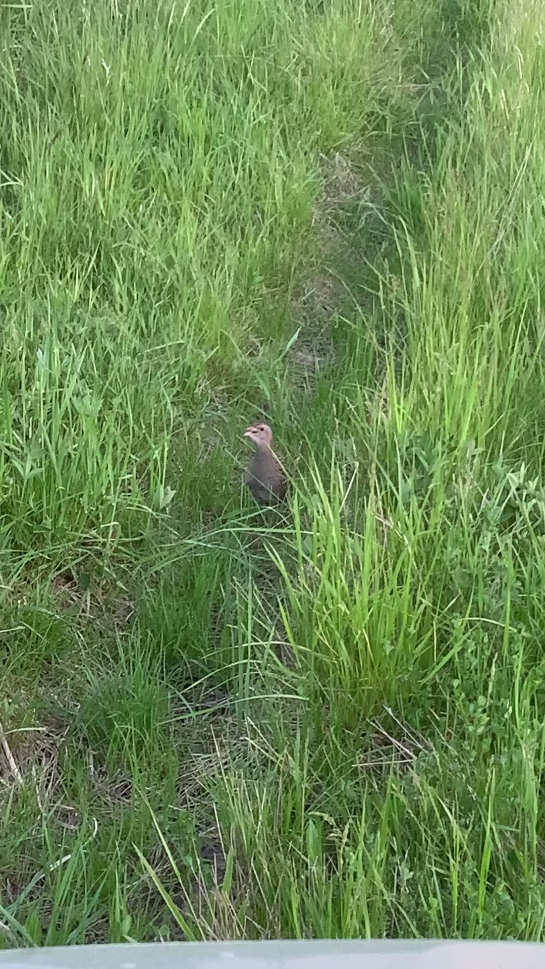 Birtoklátogatás – 2 órás, egyéni, vezetett program